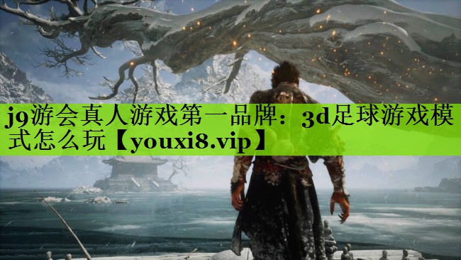 3d足球游戏模式怎么玩
