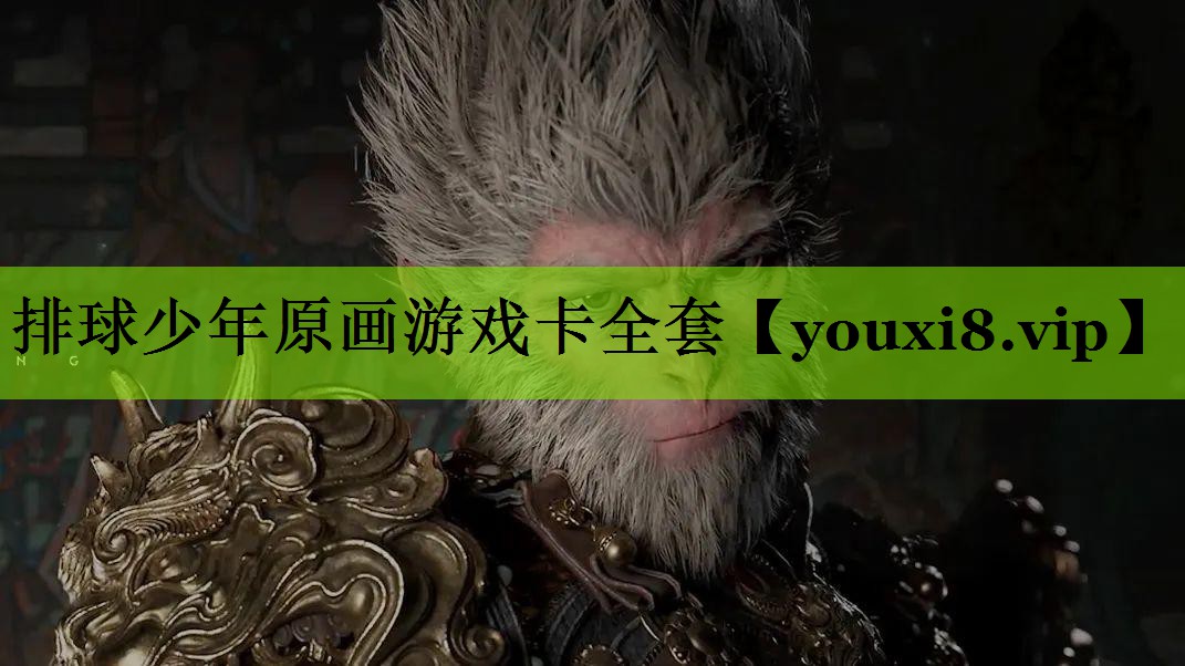 排球少年原画游戏卡全套