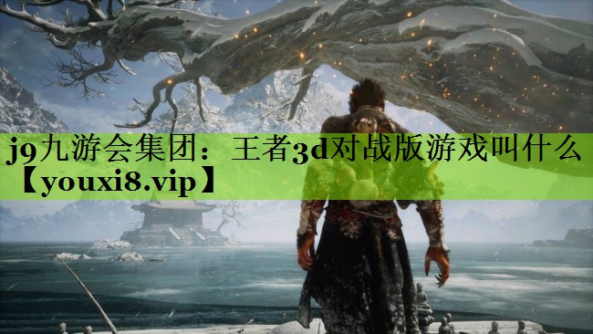 王者3d对战版游戏叫什么