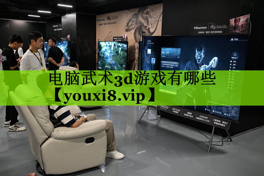 电脑武术3d游戏有哪些
