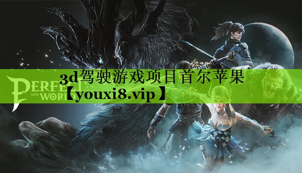 3d驾驶游戏项目首尔苹果