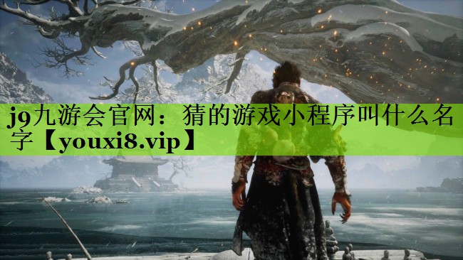 猜的游戏小程序叫什么名字