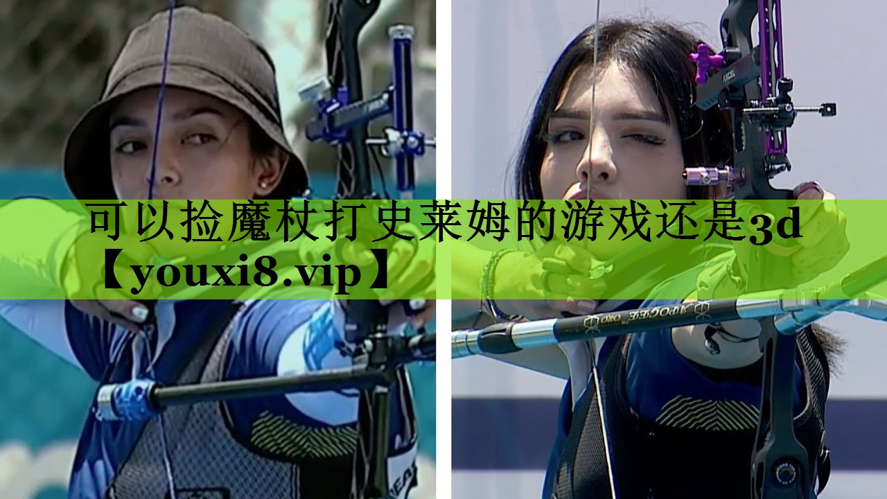 可以捡魔杖打史莱姆的游戏还是3d