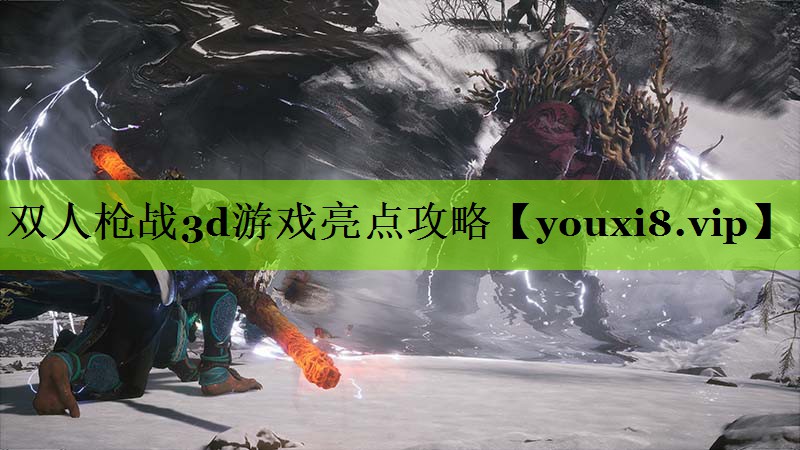 双人枪战3d游戏亮点攻略