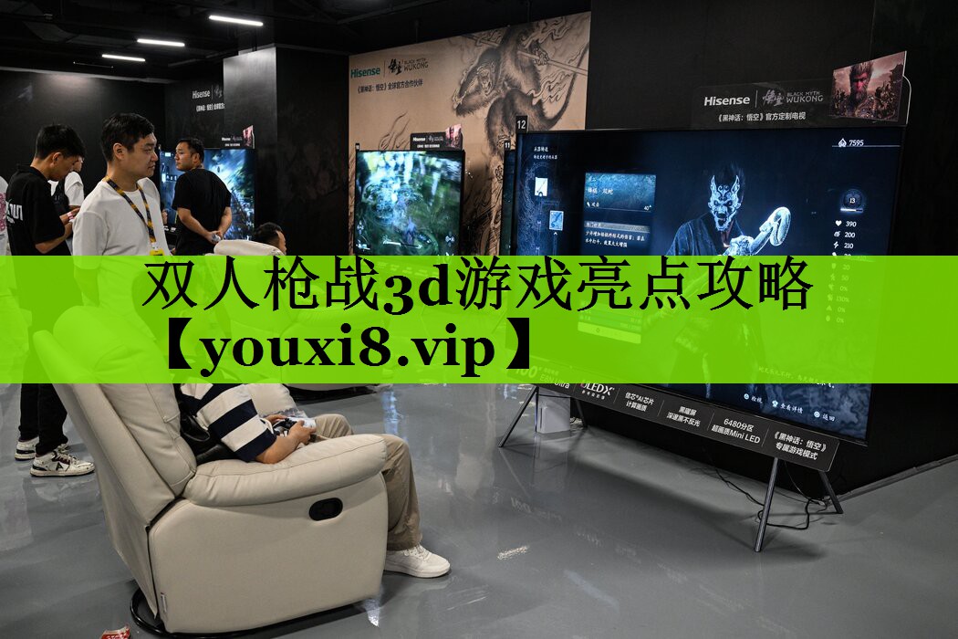 双人枪战3d游戏亮点攻略