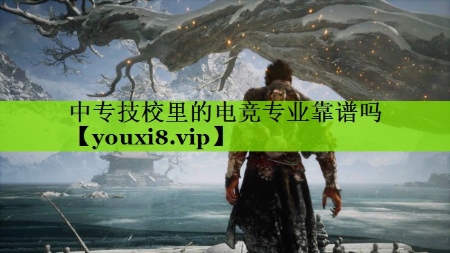 中专技校里的电竞专业靠谱吗
