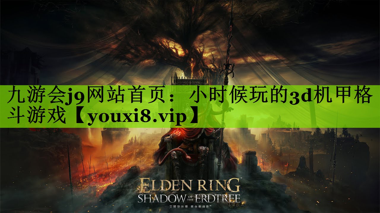 小时候玩的3d机甲格斗游戏