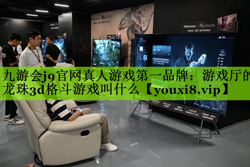 游戏厅的龙珠3d格斗游戏叫什么